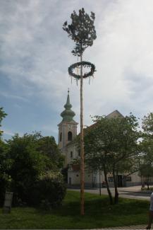 Der Maibaum und die Pfarrkirche Leopoldau.
