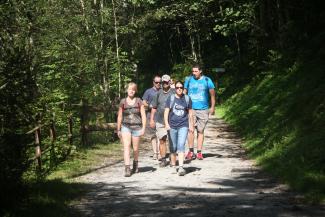 Zum Wandern gab es ...