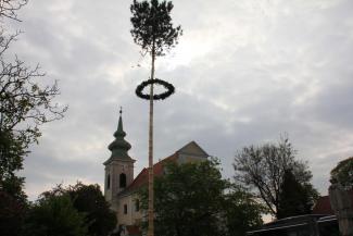 Abschließend noch der Maibaum.