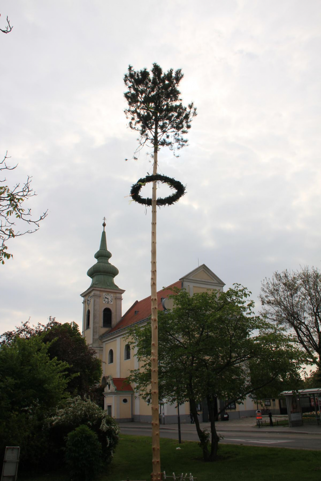 Der Maibaum vor der Pfarrkirche am Leopoldauer Platz.